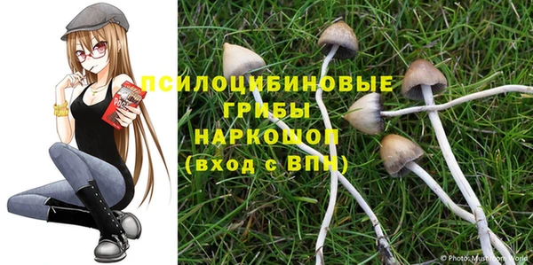 гашишное масло Ельня