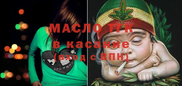 тгк Дмитровск