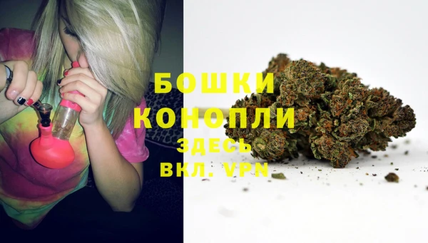 apvp Елабуга