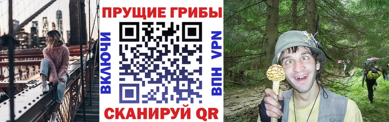 Галлюциногенные грибы ЛСД Кызыл