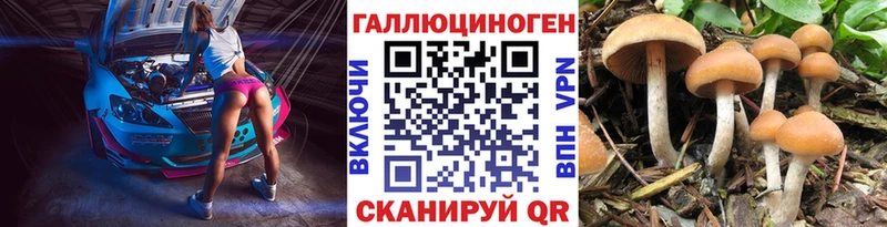 где купить наркоту  Кызыл  Галлюциногенные грибы MAGIC MUSHROOMS 